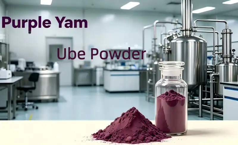 Ube Powder Benefits for Weight Management: Myth or Reality?